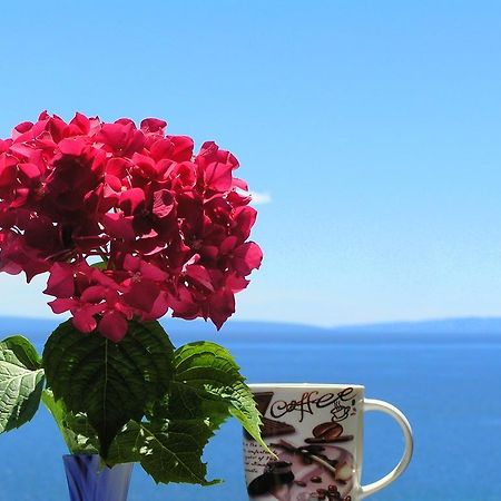 Guest House Lifestyle Holiday Opatija Rom bilde