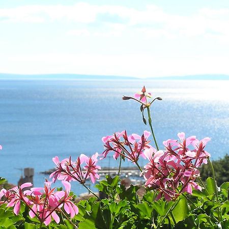 Guest House Lifestyle Holiday Opatija Eksteriør bilde